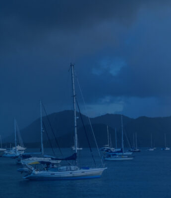 INFUSE Insights Report: Voice of the Buyer 2024